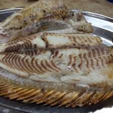 【沙登】胡须伸雪山飞狐